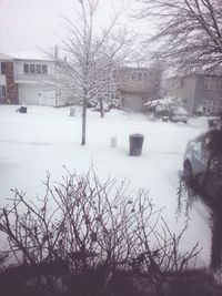 Bare trees on snow covered landscape
