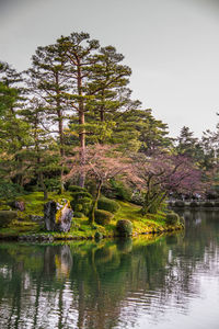 Scenic view of lake