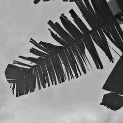 Low angle view of umbrellas hanging against sky