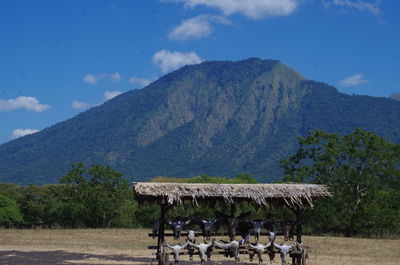 Panoramic view of mountains against sky