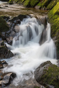 Scenic view of waterfall in forest