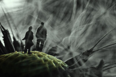 Close-up of silhouette people on flower