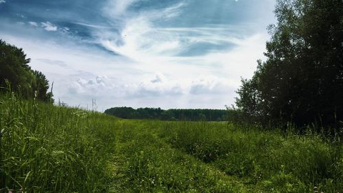 Scenic view of land against sky