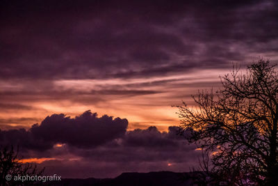 Silhouette trees against dramatic sky during sunset