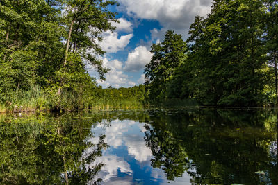 Reflection of trees in lake against sky