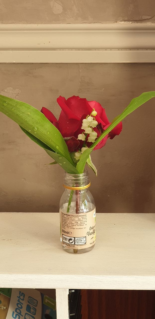 CLOSE-UP OF RED FLOWER VASE ON TABLE AGAINST WALL