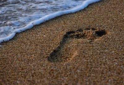 Surface level of beach