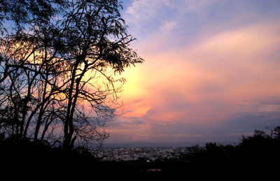 Silhouette tree against sky during sunset