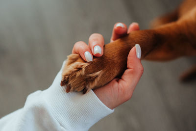 High angle view of man holding hands