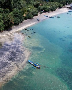 High angle view of river amidst trees