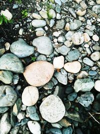 High angle view of stones