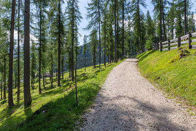 Mountain trekking itinerary in alta badia, italian alps. beautiful natural landscapes