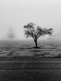 Bare tree on landscape against clear sky