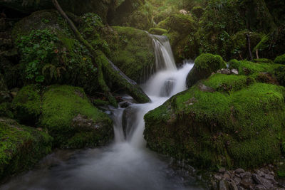 View of waterfall in forest