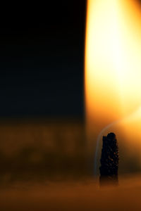 Close-up of leaf against sky during sunset