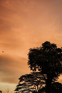 Low angle view of silhouette tree against sky during sunset