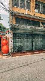 Potted plant against building