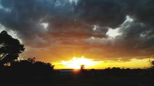 Silhouette trees against dramatic sky during sunset