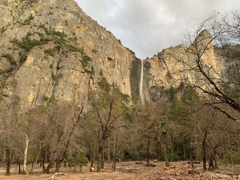 Low angle view of trees on rock against sky