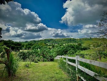 Scenic view of field against sky