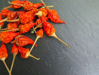 High angle view of red chili peppers on table