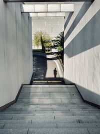 Shadow of people on wall of building