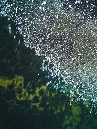 Low angle view of wet plants against sky