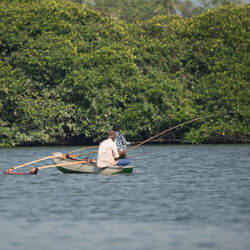 Man sitting in boat on river against trees