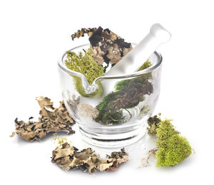 Close-up of herbs with mortar and pestle against white background