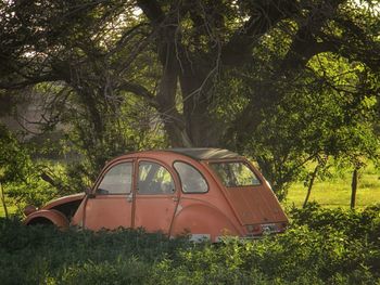 Abandoned car in forest