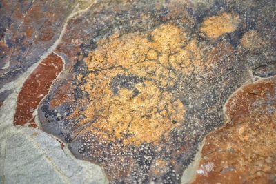 Close-up high angle view of man