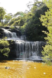 Scenic view of waterfall in forest against sky