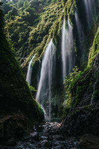 Madakaripura - the beautiful waterfall in east java, indonesia