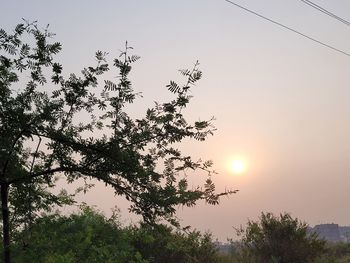 Low angle view of silhouette trees against sky during sunset