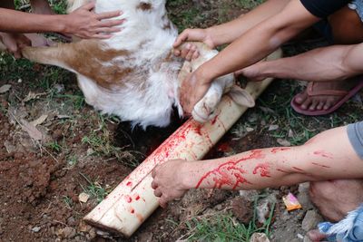 Low section of people hands on land