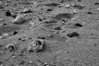 Close-up of footprints on sand