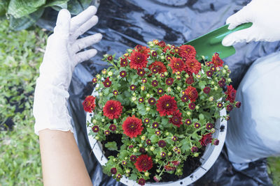 Midsection of bride holding bouquet