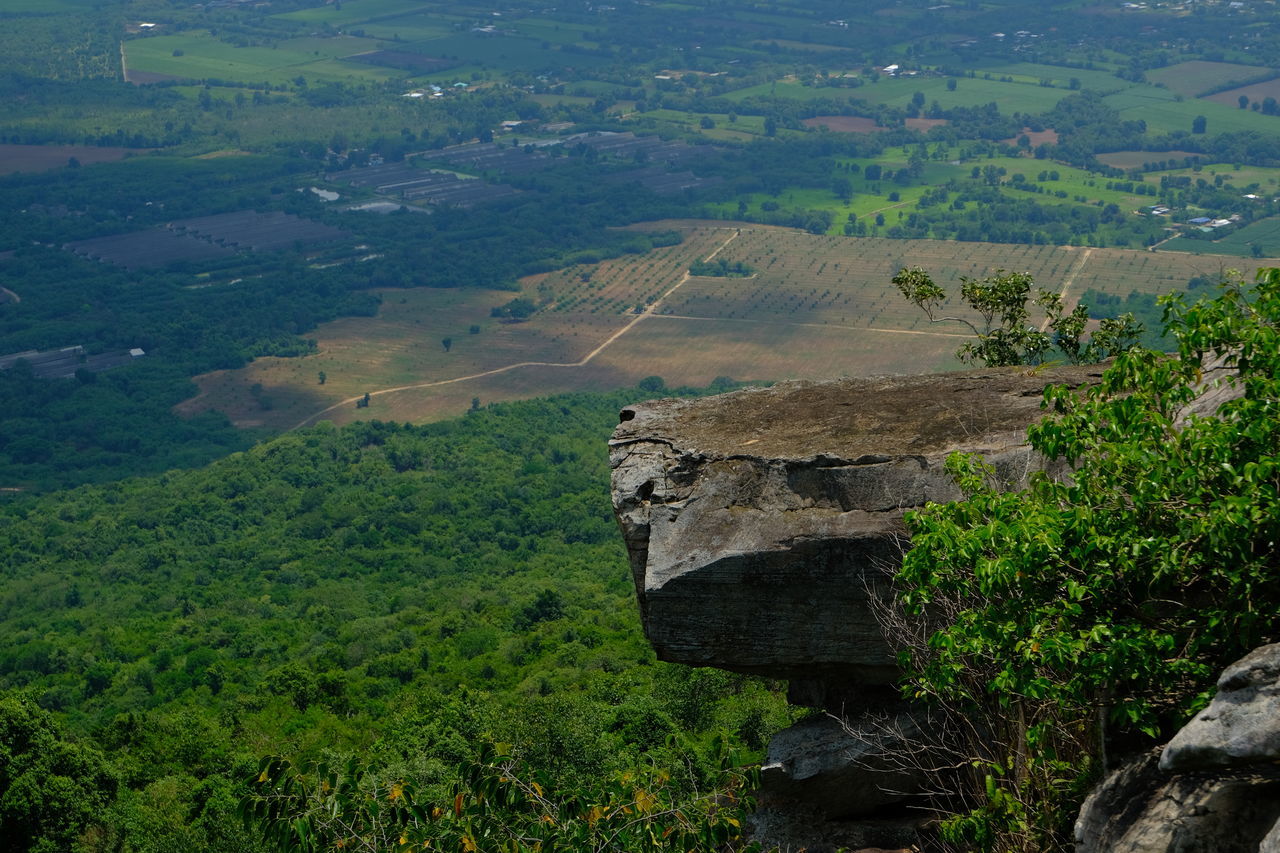 SCENIC VIEW OF FIELD AGAINST MOUNTAIN