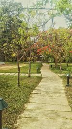 Footpath leading towards trees