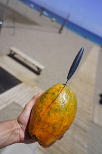 Close-up of hand holding orange slice