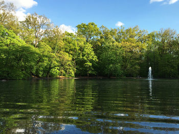 Reflection of trees in lake