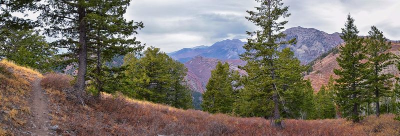 Slate canyon hiking fall leaves mountains, y trail, provo peak, slide canyon, wasatch, utah, usa