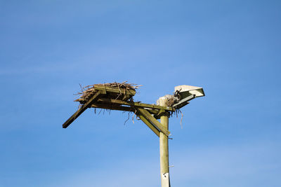 Low angle view of crane against clear blue sky