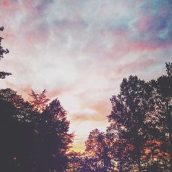 Low angle view of silhouette trees against sky at sunset