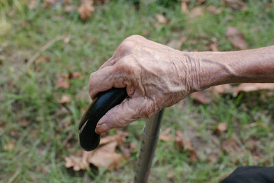 Close-up of a bird