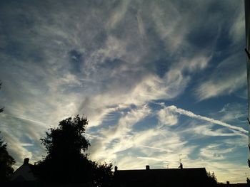 Low angle view of silhouette tree and building against sky