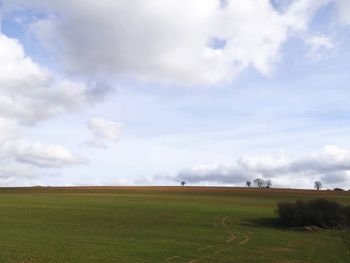 Scenic view of field against sky