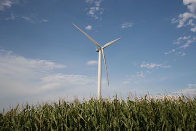 Wind turbines on grassy field