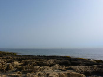 Scenic view of sea against clear sky