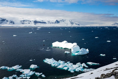 View of ice floating on water